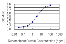 SP2 Antibody - Detection limit for recombinant GST tagged SP2 is 0.03 ng/ml as a capture antibody.