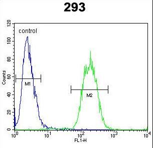 SPACA1 Antibody - SACA1 Antibody flow cytometry of 293 cells (right histogram) compared to a negative control cell (left histogram). FITC-conjugated goat-anti-rabbit secondary antibodies were used for the analysis.