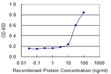 SPAG4 Antibody - Detection limit for recombinant GST tagged SPAG4 is 1 ng/ml as a capture antibody.