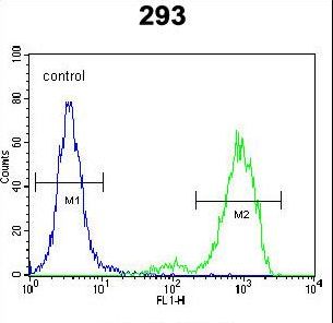 SPDYE5 Antibody - SPDYE5 Antibody flow cytometry of 293 cells (right histogram) compared to a negative control cell (left histogram). FITC-conjugated goat-anti-rabbit secondary antibodies were used for the analysis.