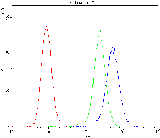 SPHK2 Antibody - Flow Cytometry analysis of A549 cells using anti-SPHK2 antibody. Overlay histogram showing A549 cells stained with anti-SPHK2 antibody (Blue line). The cells were blocked with 10% normal goat serum. And then incubated with rabbit anti-SPHK2 Antibody (1µg/10E6 cells) for 30 min at 20°C. DyLight®488 conjugated goat anti-rabbit IgG (5-10µg/10E6 cells) was used as secondary antibody for 30 minutes at 20°C. Isotype control antibody (Green line) was rabbit IgG (1µg/10E6 cells) used under the same conditions. Unlabelled sample (Red line) was also used as a control.
