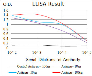 SPI1 / PU.1 Antibody - Red: Control Antigen (100ng); Purple: Antigen (10ng); Green: Antigen (50ng); Blue: Antigen (100ng);