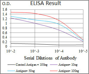 SPIB Antibody - Red: Control Antigen (100ng); Purple: Antigen (10ng); Green: Antigen (50ng); Blue: Antigen (100ng);