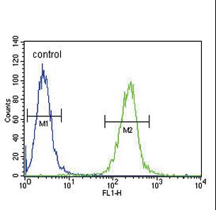SPINK5 / LEKTI Antibody - SPINK5 Antibody flow cytometry of A2058 cells (right histogram) compared to a negative control cell (left histogram). FITC-conjugated goat-anti-rabbit secondary antibodies were used for the analysis.