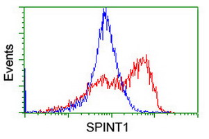 SPINT1 / HAI-1 Antibody - HEK293T cells transfected with either overexpress plasmid (Red) or empty vector control plasmid (Blue) were immunostained by anti-SPINT1 antibody, and then analyzed by flow cytometry.
