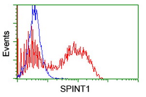SPINT1 / HAI-1 Antibody - HEK293T cells transfected with either overexpress plasmid (Red) or empty vector control plasmid (Blue) were immunostained by anti-SPINT1 antibody, and then analyzed by flow cytometry.