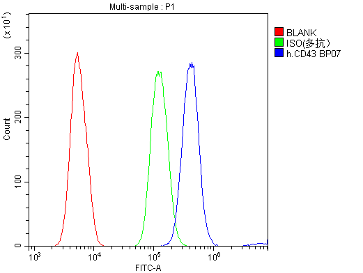 SPN / CD43 Antibody - Flow Cytometry analysis of HL-60 cells using anti-CD43 antibody. Overlay histogram showing HL-60 cells stained with anti-CD43 antibody (Blue line). The cells were blocked with 10% normal goat serum. And then incubated with rabbit anti-CD43 Antibody (1µg/10E6 cells) for 30 min at 20°C. DyLight®488 conjugated goat anti-rabbit IgG (5-10µg/10E6 cells) was used as secondary antibody for 30 minutes at 20°C. Isotype control antibody (Green line) was rabbit IgG (1µg/10E6 cells) used under the same conditions. Unlabelled sample (Red line) was also used as a control.
