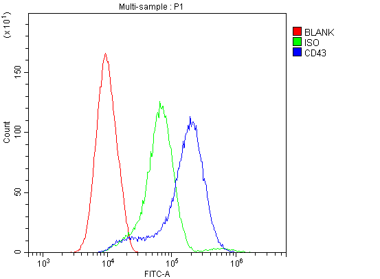 SPN / CD43 Antibody - Flow Cytometry analysis of BRL cells using anti-CD43 antibody. Overlay histogram showing BRL cells stained with anti-CD43 antibody (Blue line). The cells were blocked with 10% normal goat serum. And then incubated with rabbit anti-CD43 Antibody (1µg/10E6 cells) for 30 min at 20°C. DyLight®488 conjugated goat anti-rabbit IgG (5-10µg/10E6 cells) was used as secondary antibody for 30 minutes at 20°C. Isotype control antibody (Green line) was rabbit IgG (1µg/10E6 cells) used under the same conditions. Unlabelled sample (Red line) was also used as a control.