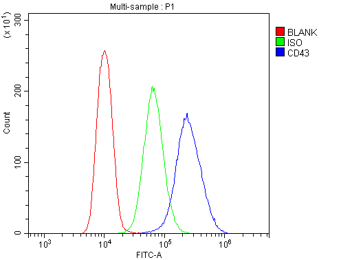 SPN / CD43 Antibody - Flow Cytometry analysis of P3NSI cells using anti-CD43 antibody. Overlay histogram showing P3NSI cells stained with anti-CD43 antibody (Blue line). The cells were blocked with 10% normal goat serum. And then incubated with rabbit anti-CD43 Antibody (1µg/10E6 cells) for 30 min at 20°C. DyLight®488 conjugated goat anti-rabbit IgG (5-10µg/10E6 cells) was used as secondary antibody for 30 minutes at 20°C. Isotype control antibody (Green line) was rabbit IgG (1µg/10E6 cells) used under the same conditions. Unlabelled sample (Red line) was also used as a control.