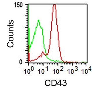 SPN / CD43 Antibody - CD43 antibody DF-T1 flow cytometry.  This image was taken for the unmodified form of this product. Other forms have not been tested.