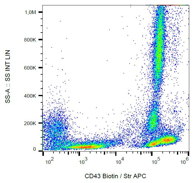 SPN / CD43 Antibody - Surface staining of human peripheral blood with anti-CD43 (MEM-59) biotin / streptavidin-APC.