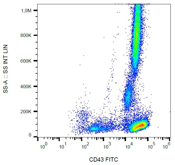 SPN / CD43 Antibody - Surface staining of human peripheral blood with anti-CD43 (MEM-59) FITC.