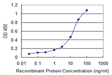 SPR Antibody - Detection limit for recombinant GST tagged SPR is 0.3 ng/ml as a capture antibody.