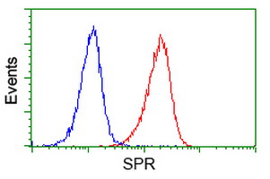 SPR Antibody - Flow cytometry of Jurkat cells, using anti-SPR antibody (Red), compared to a nonspecific negative control antibody (Blue).