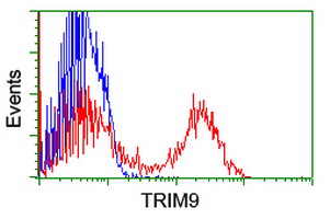 SPRING / TRIM9 Antibody - HEK293T cells transfected with either overexpress plasmid (Red) or empty vector control plasmid (Blue) were immunostained by anti-TRIM9 antibody, and then analyzed by flow cytometry.