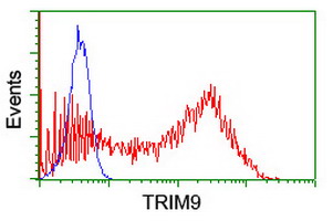 SPRING / TRIM9 Antibody - HEK293T cells transfected with either overexpress plasmid (Red) or empty vector control plasmid (Blue) were immunostained by anti-TRIM9 antibody, and then analyzed by flow cytometry.