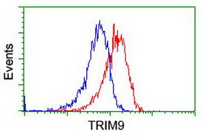SPRING / TRIM9 Antibody - Flow cytometry of HeLa cells, using anti-TRIM9 antibody (Red), compared to a nonspecific negative control antibody (Blue).