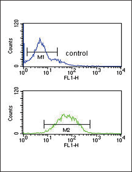 Sprouty 4 / SPRY4 Antibody - SPRY4-Y75 Antibody flow cytometry of K562 cells (bottom histogram) compared to a negative control cell (top histogram). FITC-conjugated goat-anti-rabbit secondary antibodies were used for the analysis.