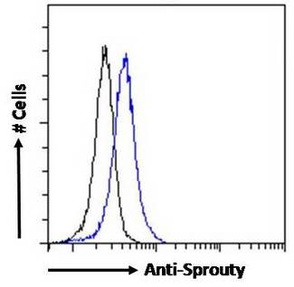 SPRY1 / Sprouty 1 Antibody - SPRY1 / Sprouty 1 antibody flow cytometric analysis of paraformaldehyde fixed HEK293 cells (blue line), permeabilized with 0.5% Triton. Primary incubation 1hr (10ug/ml) followed by Alexa Fluor 488 secondary antibody (0.4ug/ml). IgG control: Unimmunized goat IgG (black line) followed by Alexa Fluor 488 secondary antibody.