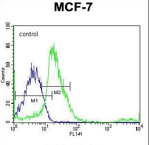 SRC Antibody - SRC Antibody flow cytometry of MCF-7 cells (right histogram) compared to a negative control cell (left histogram). Alexa Fluor 488-conjugated donkey anti-rabbit lgG secondary antibodies were used for the analysis.