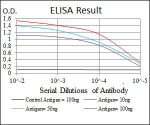 SRC Antibody - Red: Control Antigen (100ng); Purple: Antigen (10ng); Green: Antigen (50ng); Blue: Antigen (100ng);