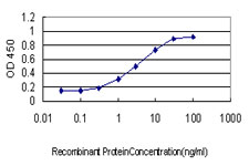 SREBF1 / SREBP-1 Antibody - Detection limit for recombinant GST tagged SREBF1 is approximately 0.3 ng/ml as a capture antibody.
