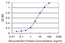 SRP54 Antibody - Detection limit for recombinant GST tagged SRP54 is 0.1 ng/ml as a capture antibody.