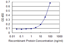 SRP68 Antibody - Detection limit for recombinant GST tagged SRP68 is 1 ng/ml as a capture antibody.