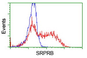 SRPRB Antibody - HEK293T cells transfected with either overexpress plasmid (Red) or empty vector control plasmid (Blue) were immunostained by anti-SRPRB antibody, and then analyzed by flow cytometry.