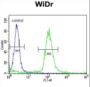 SRSF1 / SF2 Antibody - SFRS1 Antibody flow cytometry of WiDr cells (right histogram) compared to a negative control cell (left histogram). FITC-conjugated goat-anti-rabbit secondary antibodies were used for the analysis.