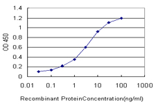 SRSF10 / FUSIP1 Antibody - Detection limit for recombinant GST tagged FUSIP1 is approximately 0.1 ng/ml as a capture antibody.