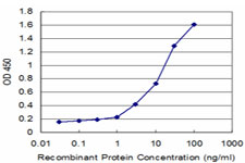 SRSF6 / SRP55 Antibody - Detection limit for recombinant GST tagged SFRS6 is approximately 0.3 ng/ml as a capture antibody.