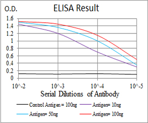 SSH1 Antibody - Black line: Control Antigen (100 ng);Purple line: Antigen(10ng);Blue line: Antigen (50 ng);Red line: Antigen (100 ng);