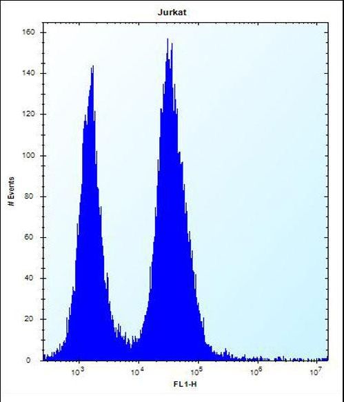 SSR2 Antibody - SSR2 Antibody flow cytometry of Jurkat cells (right histogram) compared to a negative control cell (left histogram). FITC-conjugated donkey-anti-rabbit secondary antibodies were used for the analysis.