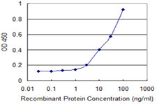 SSR2 Antibody - Detection limit for recombinant GST tagged SSR2 is 1 ng/ml as a capture antibody.