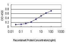 SSR4 Antibody - Detection limit for recombinant GST tagged SSR4 is approximately 0.1 ng/ml as a capture antibody.
