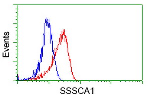 SSSCA1 / p27 Antibody - Flow cytometry of HeLa cells, using anti-SSSCA1 antibody, (Red), compared to a nonspecific negative control antibody, (Blue).