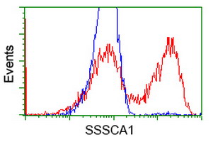 SSSCA1 / p27 Antibody - HEK293T cells transfected with either overexpress plasmid (Red) or empty vector control plasmid (Blue) were immunostained by anti-SSSCA1 antibody, and then analyzed by flow cytometry.