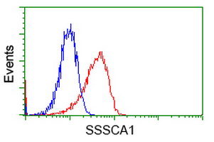 SSSCA1 / p27 Antibody - Flow cytometry of Jurkat cells, using anti-SSSCA1 antibody, (Red), compared to a nonspecific negative control antibody, (Blue).