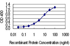 SSX4 Antibody - Detection limit for recombinant GST tagged SSX4 is 0.1 ng/ml as a capture antibody.