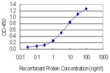 SSX4 Antibody - Detection limit for recombinant GST tagged SSX4 is 0.03 ng/ml as a capture antibody.