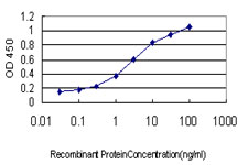 ST3GAL2 Antibody - Detection limit for recombinant GST tagged ST3GAL2 is approximately 0.03 ng/ml as a capture antibody.