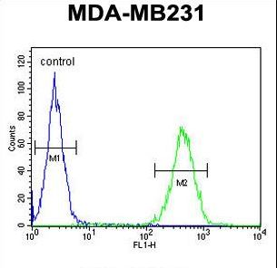 ST7 Antibody - ST7 Antibody flow cytometry of MDA-MB231 cells (right histogram) compared to a negative control cell (left histogram). FITC-conjugated goat-anti-rabbit secondary antibodies were used for the analysis.