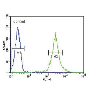 ST8SIA4 Antibody - ST8SIA4 Antibody flow cytometry of HL-60 cells (right histogram) compared to a negative control cell (left histogram). FITC-conjugated goat-anti-rabbit secondary antibodies were used for the analysis.