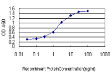 STAR Antibody - Detection limit for recombinant GST tagged STAR is approximately 0.03 ng/ml as a capture antibody.