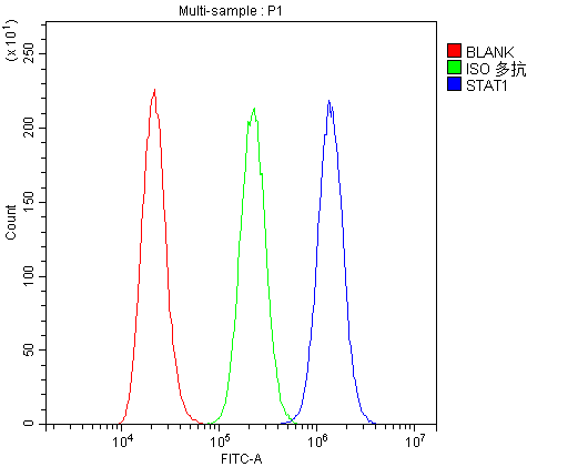 STAT1 Antibody - Flow Cytometry analysis of A431 cells using anti-STAT1 antibody. Overlay histogram showing A431 cells stained with anti-STAT1 antibody (Blue line). The cells were blocked with 10% normal goat serum. And then incubated with rabbit anti-STAT1 Antibody (1µg/10E6 cells) for 30 min at 20°C. DyLight®488 conjugated goat anti-rabbit IgG (5-10µg/10E6 cells) was used as secondary antibody for 30 minutes at 20°C. Isotype control antibody (Green line) was rabbit IgG (1µg/10E6 cells) used under the same conditions. Unlabelled sample (Red line) was also used as a control.