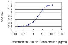 STAT2 Antibody - Detection limit for recombinant GST tagged STAT2 is 0.03 ng/ml as a capture antibody.