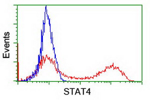 STAT4 Antibody - HEK293T cells transfected with either overexpress plasmid (Red) or empty vector control plasmid (Blue) were immunostained by anti-STAT4 antibody, and then analyzed by flow cytometry.