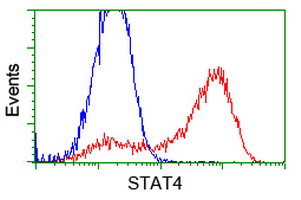 STAT4 Antibody - HEK293T cells transfected with either overexpress plasmid (Red) or empty vector control plasmid (Blue) were immunostained by anti-STAT4 antibody, and then analyzed by flow cytometry.