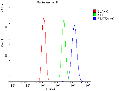 STAT5A Antibody - Flow Cytometry analysis of U20S cells using anti-STAT5A antibody. Overlay histogram showing U20S cells stained with anti-STAT5A antibody (Blue line). The cells were blocked with 10% normal goat serum. And then incubated with rabbit anti-STAT5A Antibody (1µg/10E6 cells) for 30 min at 20°C. DyLight®488 conjugated goat anti-rabbit IgG (5-10µg/10E6 cells) was used as secondary antibody for 30 minutes at 20°C. Isotype control antibody (Green line) was rabbit IgG (1µg/10E6 cells) used under the same conditions. Unlabelled sample (Red line) was also used as a control.